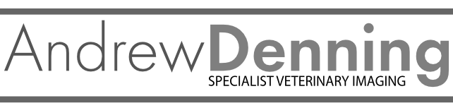 Andrew Denning Vet Imaging
