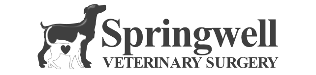 Springwell Veterinary Surgery